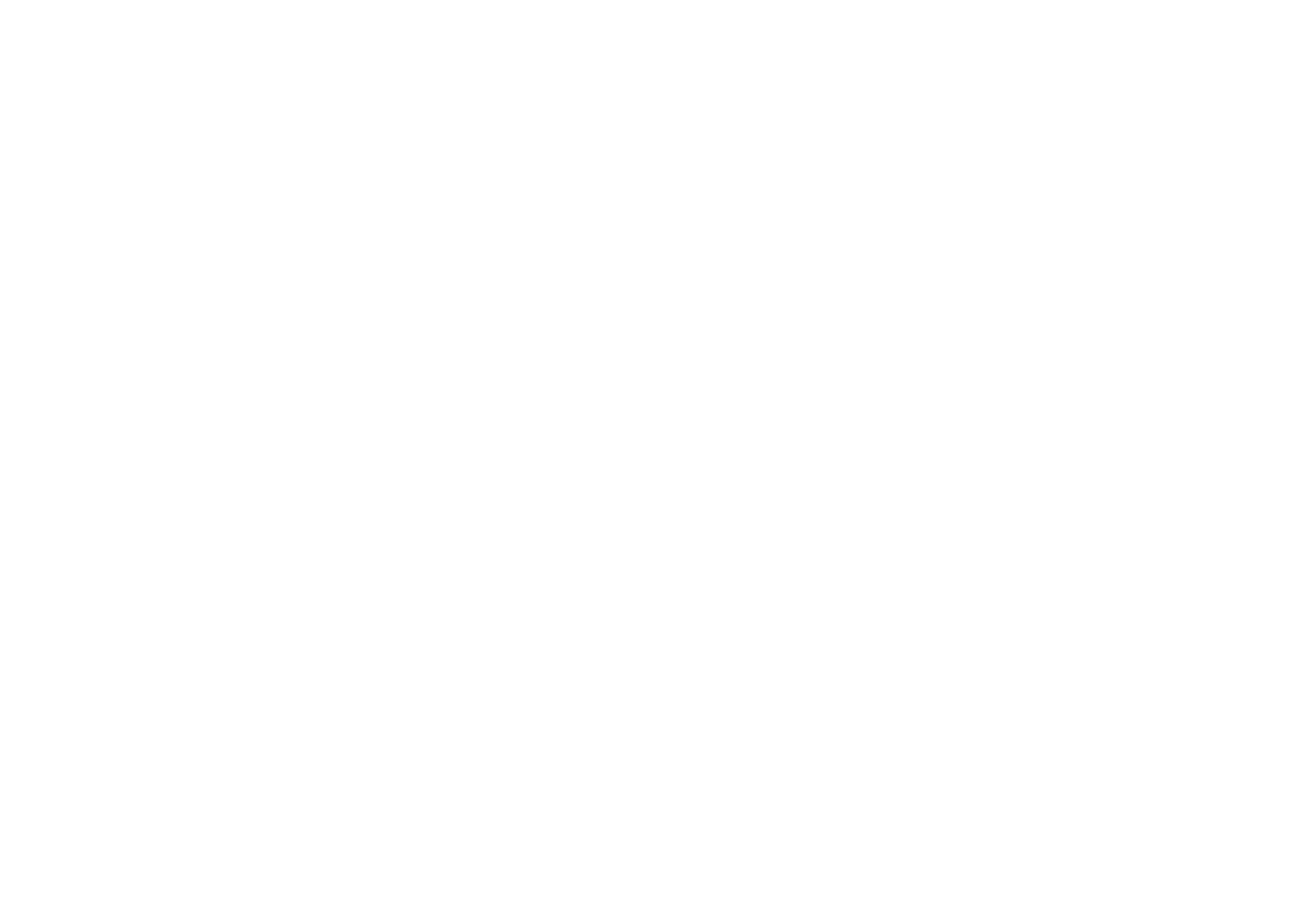 TheDrivery_Logo_CHINA_white